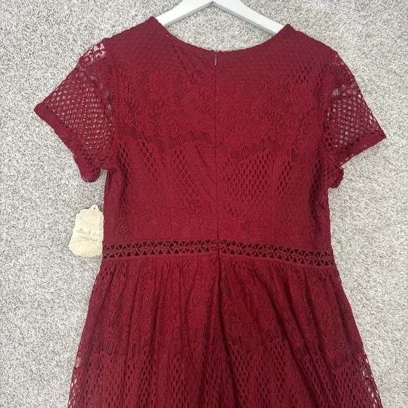 Altar'd State Mariska Brick Red Lace Semi-Sheer Embroidered Maxi Dress Womens L - Picture 7 of 14